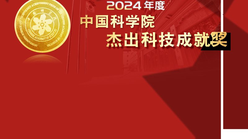 知识图谱：揭秘知识表示学习的奥秘与定制服务